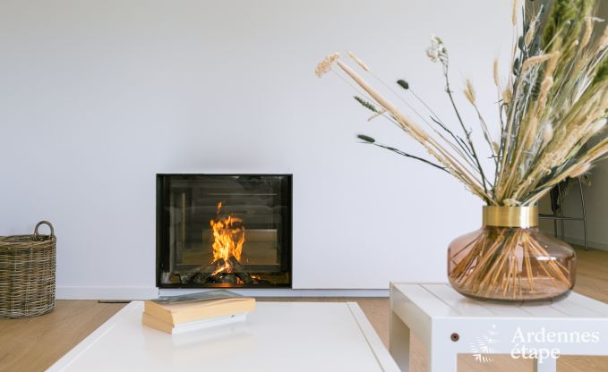 Maison de vacances  Doische pour 16/18 personnes en Ardenne