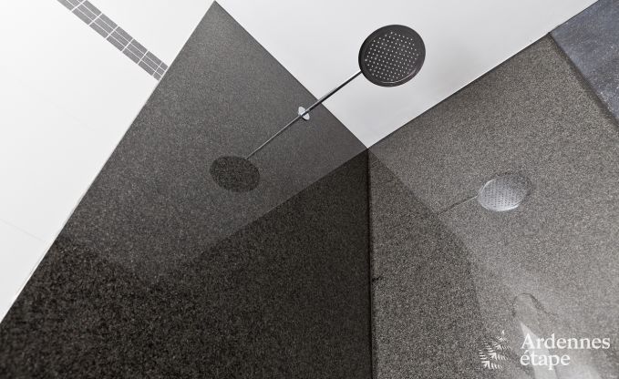 Villa de Luxe � Durbuy (Heyd) pour 24 personnes en Ardenne