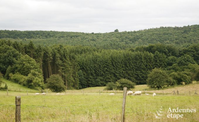 Maison de vacances � Durbuy (Izier) pour 12 personnes en Ardenne