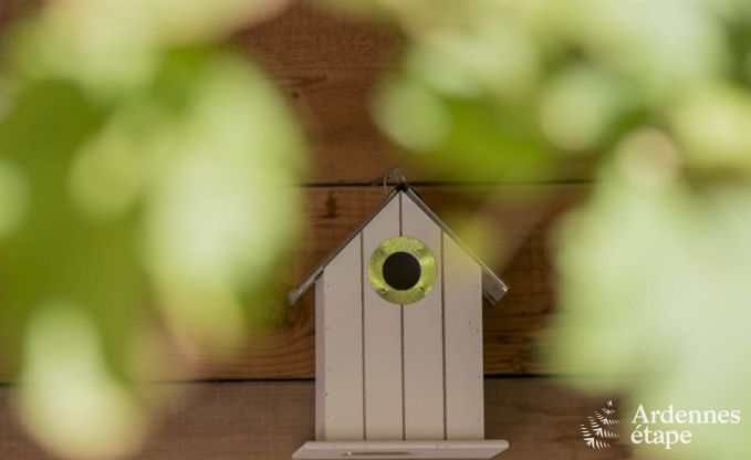 Maison de vacances  Durbuy (Wris) pour 11 personnes en Ardenne