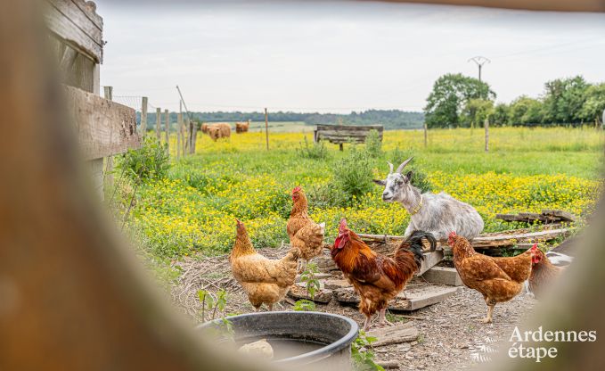 G�te � Durbuy pour 2 personnes en Ardenne