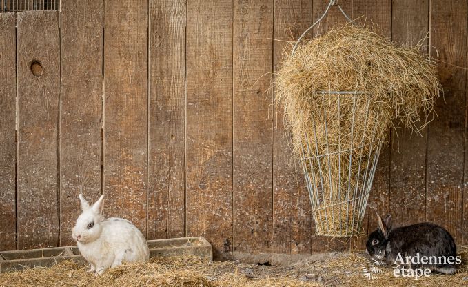 Appartement � Durbuy pour 2 personnes en Ardenne