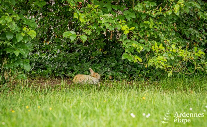 Appartement � Durbuy pour 2 personnes en Ardenne