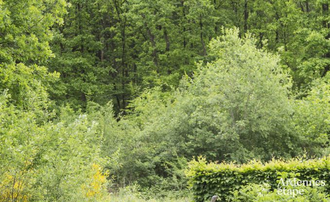 Chalet � Durbuy pour 8 personnes en Ardenne