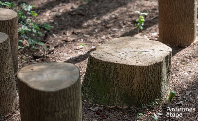 Chalet haut de gamme � Durbuy pour 6/7 personnes en Ardenne