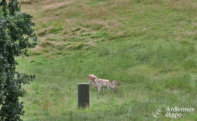 Maison de vacances romantique avec wellness pr�s de Durbuy