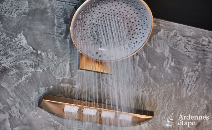 Maison de vacances romantique avec wellness pr�s de Durbuy