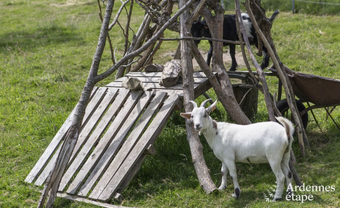 Maison de vacances  Durbuy pour 11/12 personnes en Ardenne