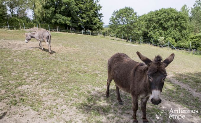 Maison de vacances  Durbuy pour 11/12 personnes en Ardenne