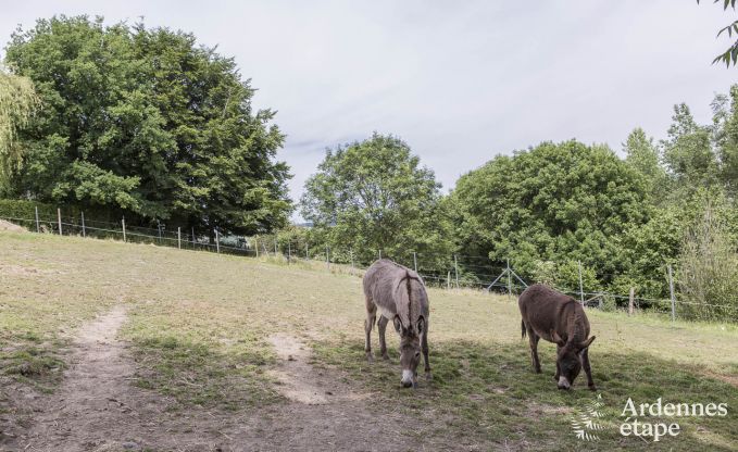 Maison de vacances � Durbuy pour 11/12 personnes en Ardenne