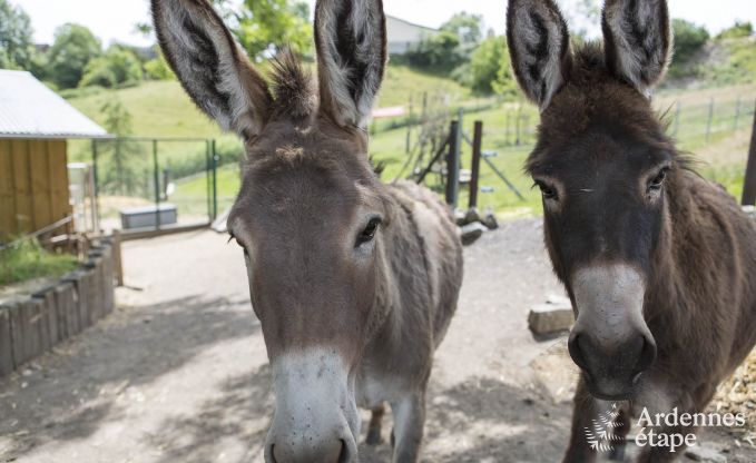 Maison de vacances � Durbuy pour 11/12 personnes en Ardenne