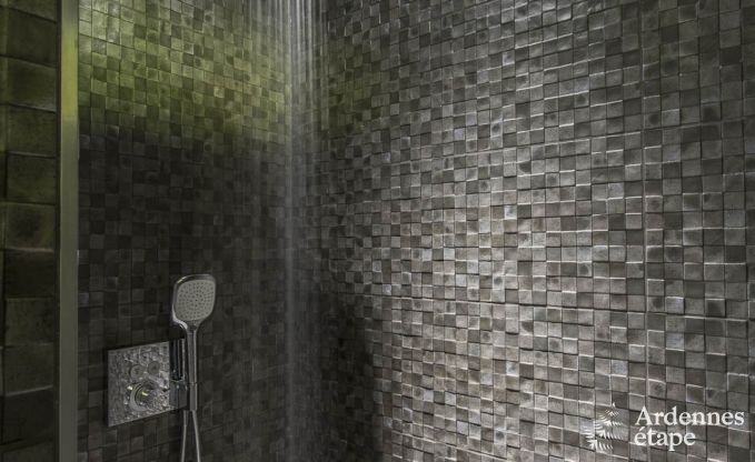 Maison de vacances  Durbuy pour 22 personnes en Ardenne