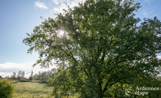 Maison de vacances � Durbuy pour 8 personnes en Ardenne