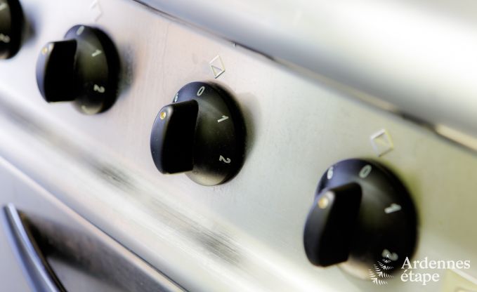 Maison de vacances spacieuse  Durbuy : hbergement pour 26 personnes avec quipements modernes en Ardenne