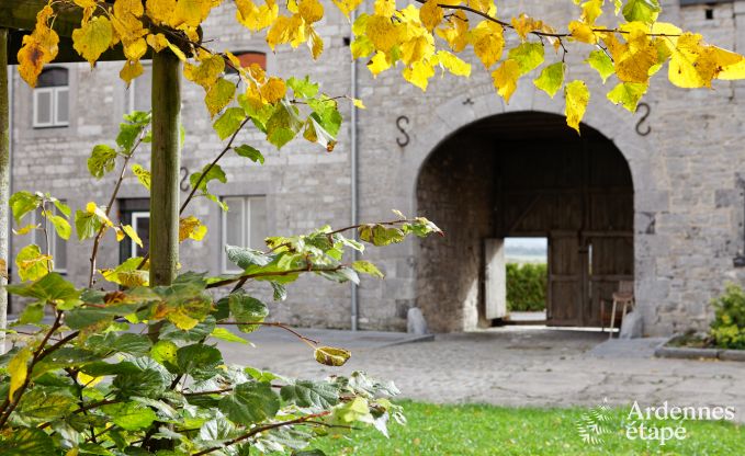 Maison de vacances spacieuse � Durbuy : h�bergement pour 26 personnes avec �quipements modernes en Ardenne