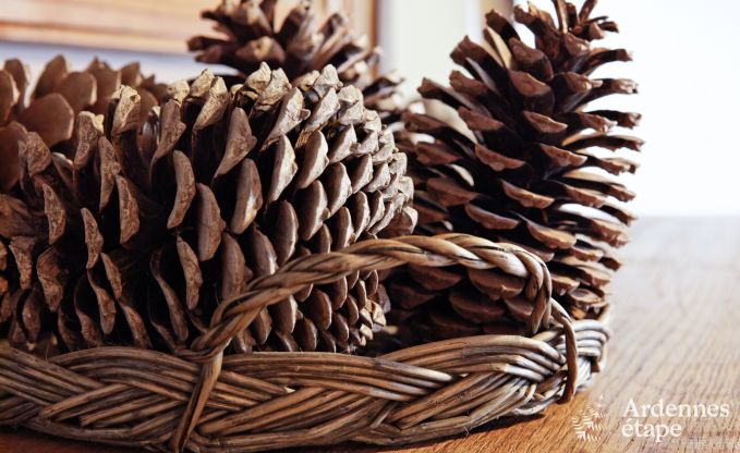 Maison de vacances spacieuse � Durbuy : h�bergement pour 26 personnes avec �quipements modernes en Ardenne