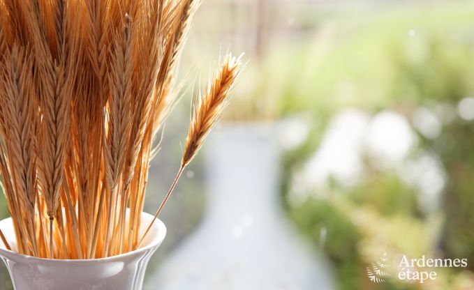 Maison de vacances � Durbuy : 32 personnes, 12 chambres, jardin priv�, c�ur de l'Ardenne belge