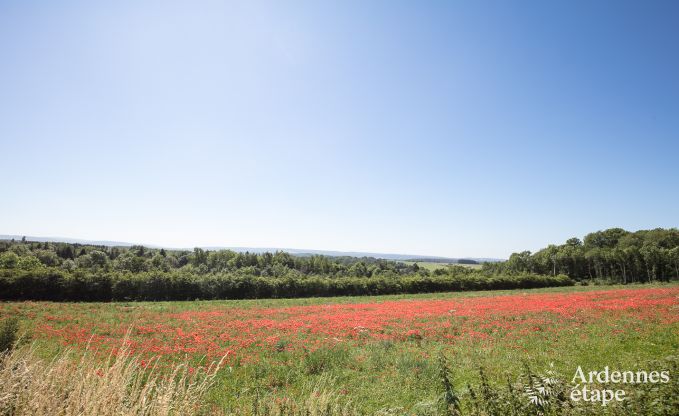 Maison de vacances  Durbuy pour 7 personnes en Ardenne
