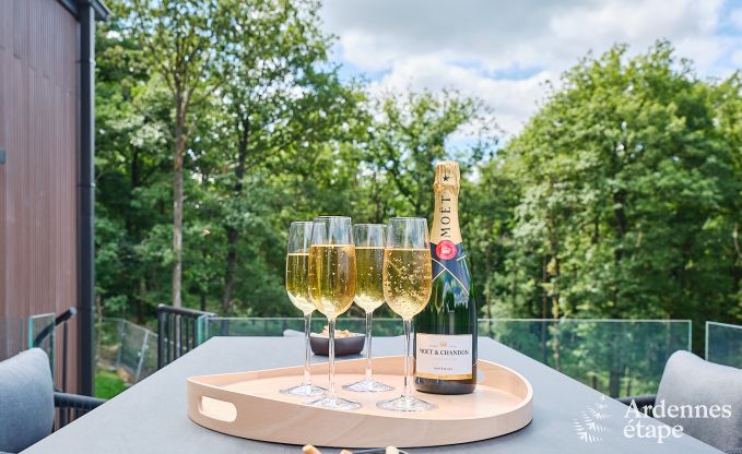 Maison de vacances de luxe Durbuy pour 9 personnes avec sauna et terrain de ptanque