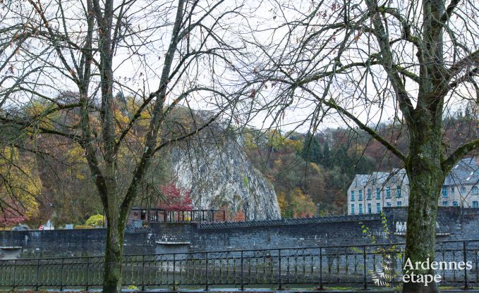 S�jour m�morable � Durbuy : Maison de vacances spacieuse pour 18 personnes avec �quipements de luxe en plein c�ur de l'Ardenne