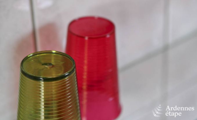 Grande maison de vacances  la ferme  Durbuy, 8 chambres, 7 salles de bain, jardin priv, quipements pour familles et cyclistes, Ardenne