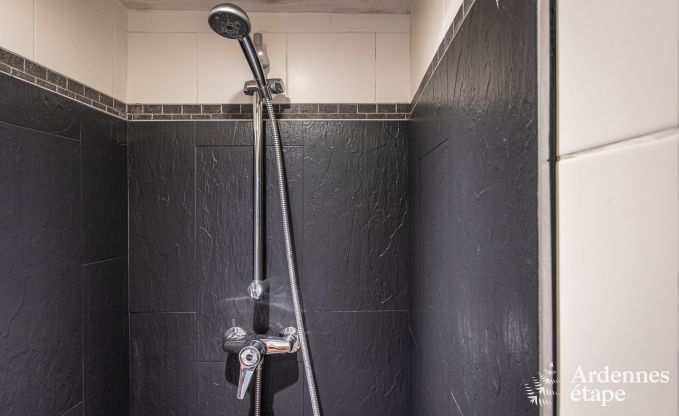 Villa de Luxe  Durbuy pour 14 personnes en Ardenne