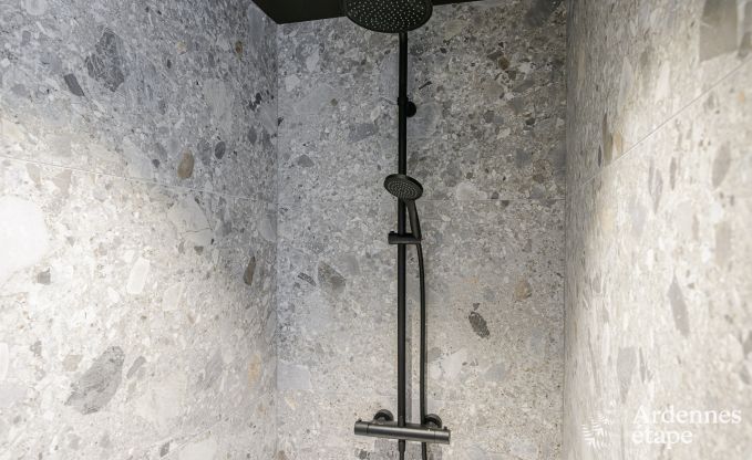 Villa de Luxe  Durbuy pour 14 personnes en Ardenne