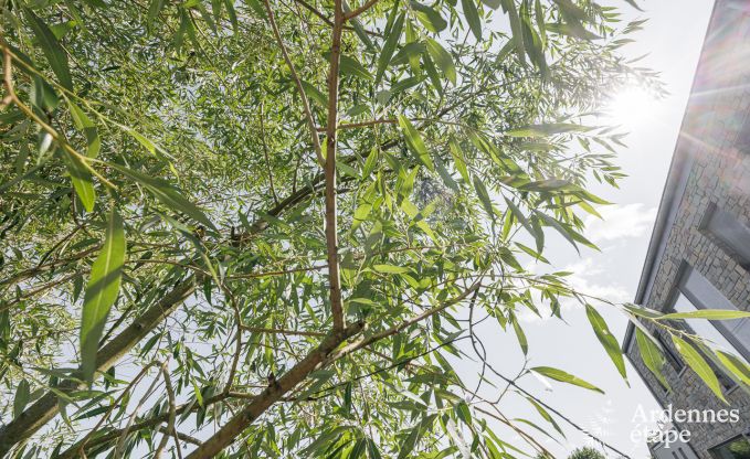 Villa de Luxe  Durbuy pour 14 personnes en Ardenne