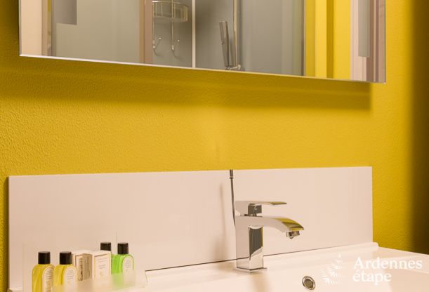 Villa de luxe  Durbuy : hbergement pour 15 personnes avec piscine, spa et nature en Ardenne