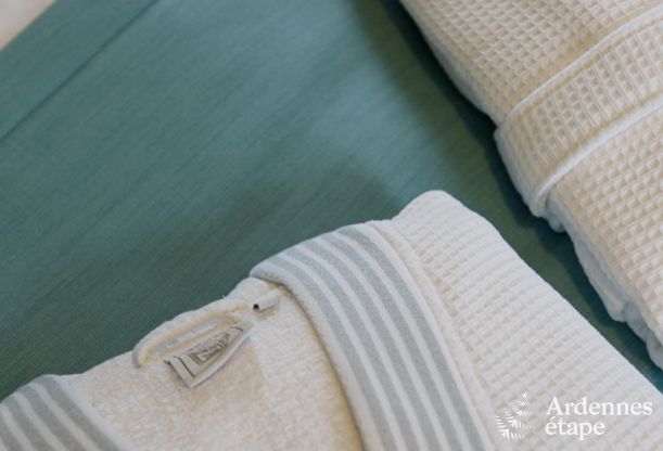 Villa de luxe � Durbuy : h�bergement pour 15 personnes avec piscine, spa et nature en Ardenne