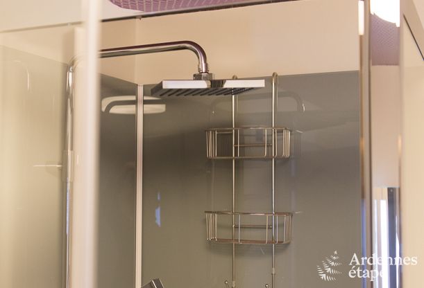 Villa de luxe � Durbuy : h�bergement pour 15 personnes avec piscine, spa et nature en Ardenne