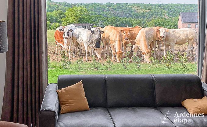 Villa de Luxe � Durbuy pour 12 personnes en Ardenne