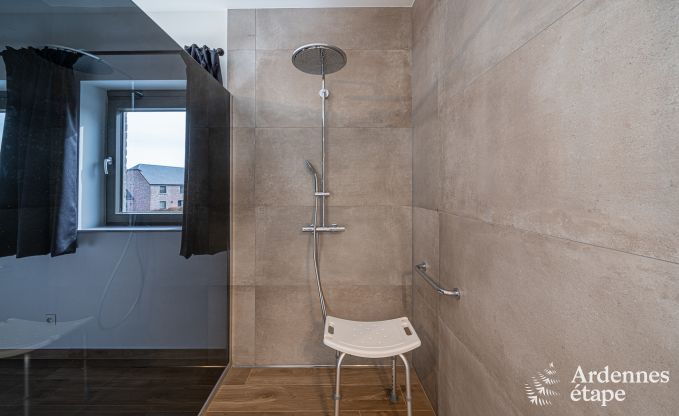 Villa de Luxe � Durbuy pour 12 personnes en Ardenne