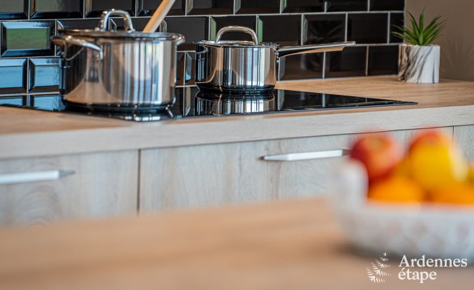 Villa de Luxe � Durbuy pour 12 personnes en Ardenne