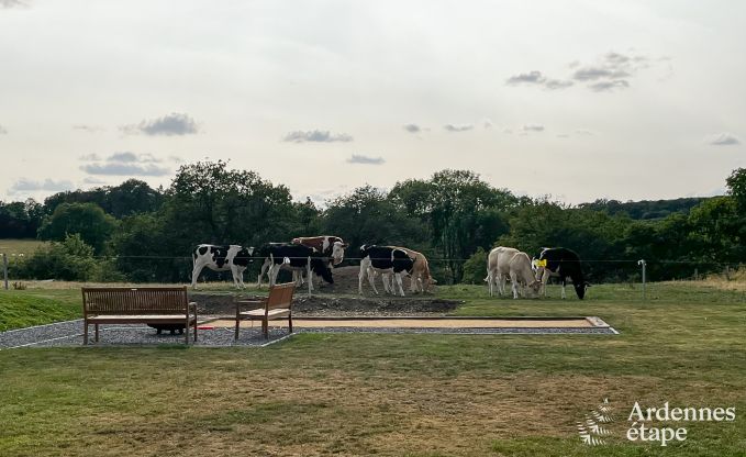 Villa de Luxe � Durbuy pour 12 personnes en Ardenne
