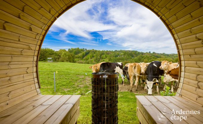 Villa de Luxe � Durbuy pour 12 personnes en Ardenne