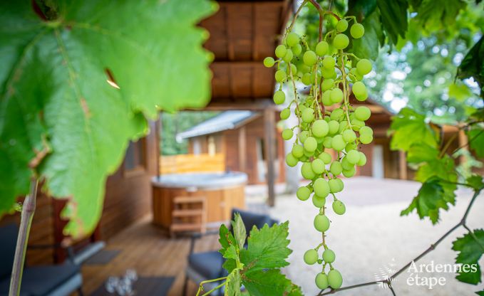 Sjour de dtente en Ardenne : spacieux chalet  Durbuy pour 8 personnes avec jacuzzi sur la terrasse