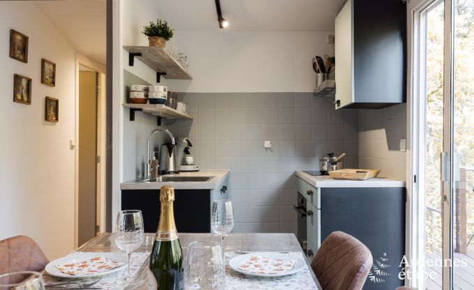 Chalet  Durbuy pour 4 personnes en Ardenne