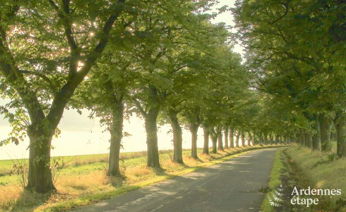 Maison de vacances  Durbuy pour 6 personnes en Ardenne