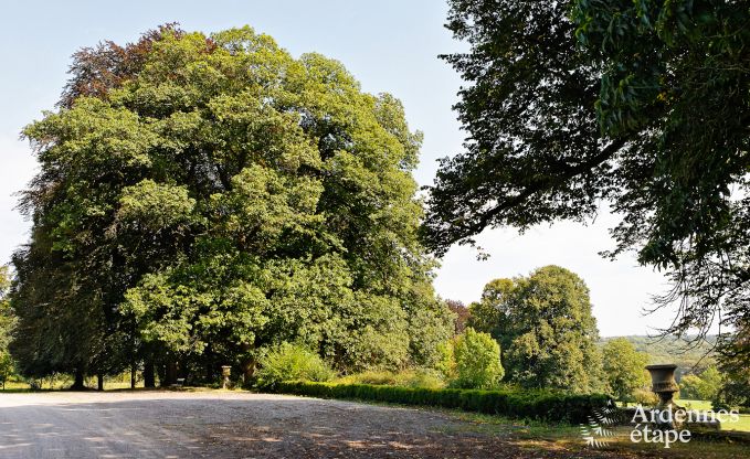 Maison de vacances  Durbuy pour 6 personnes en Ardenne