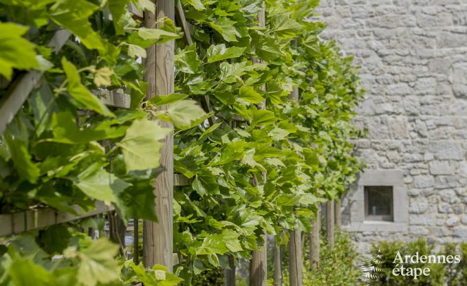 Maison de vacances  Durbuy pour 11/12 personnes en Ardenne
