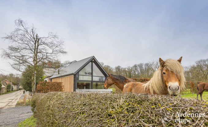 Maison de vacances  Durbuy pour 4 personnes en Ardenne