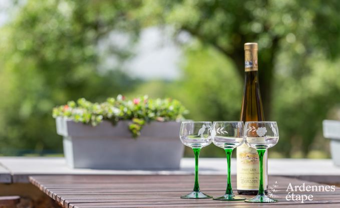 Maison de vacances  Durbuy pour 3 personnes en Ardenne