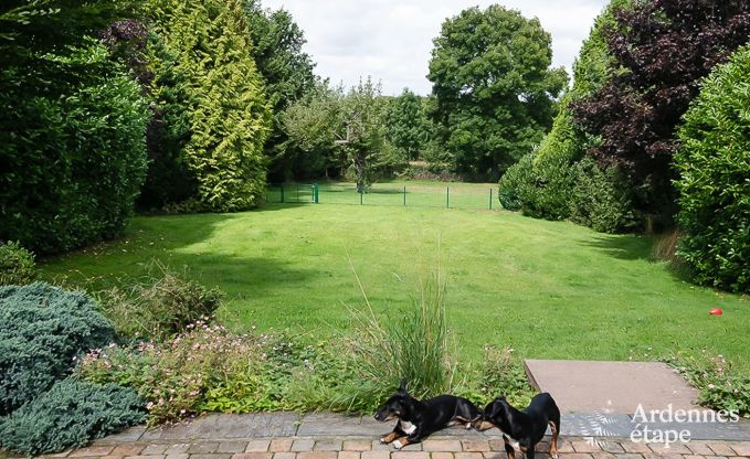 Maison de vacances  Durbuy pour 6 personnes en Ardenne