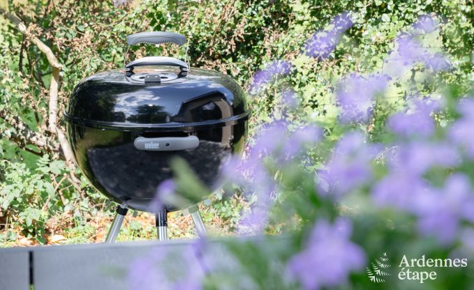 Maison de vacances  Durbuy pour 6 personnes en Ardenne