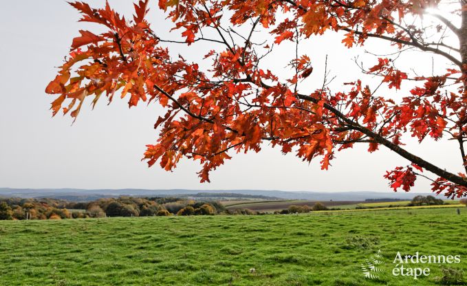 Maison de vacances spacieuse  Durbuy : hbergement pour 26 personnes avec quipements modernes en Ardenne