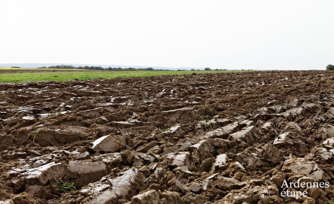 Maison de vacances spacieuse  Durbuy : hbergement pour 26 personnes avec quipements modernes en Ardenne