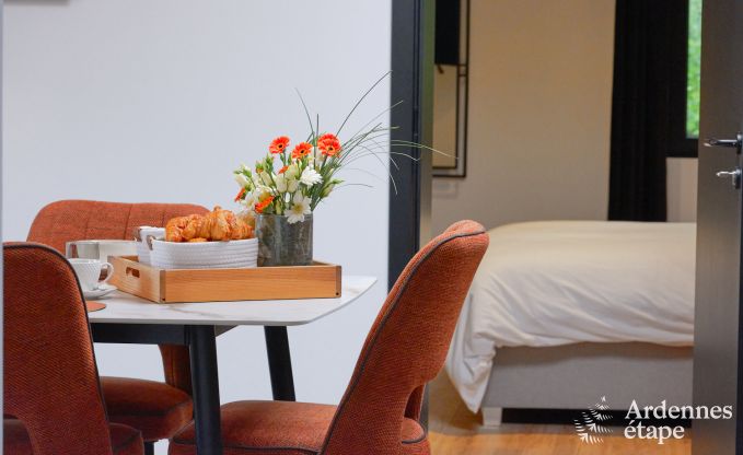 Maison de vacances avec jacuzzi et int�rieur moderne � Durbuy, id�al pour 2 couples ou famille de 4