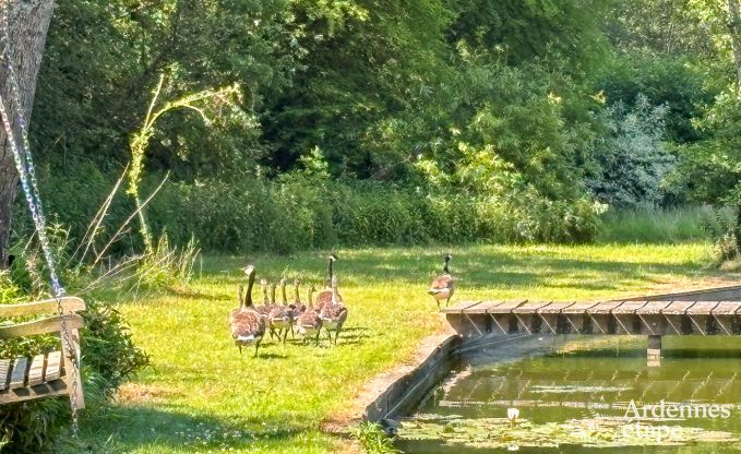 Villa exceptionnelle  Durbuy pour 10 personnes en Ardenne