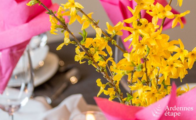 Maison de vacances  Durbuy pour 6 personnes en Ardenne